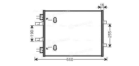 AVA OL5480
