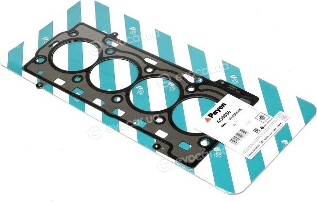 Payen AG8850