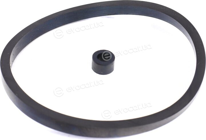 Solgy 102045