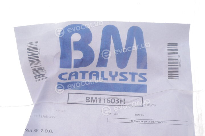 BM Catalysts BM11603H