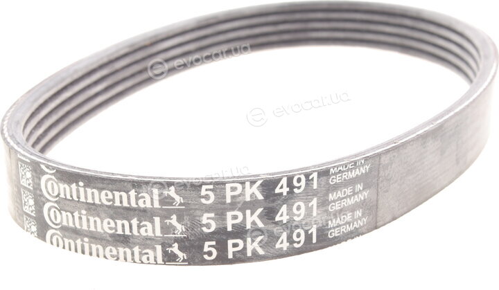 Continental 5PK491