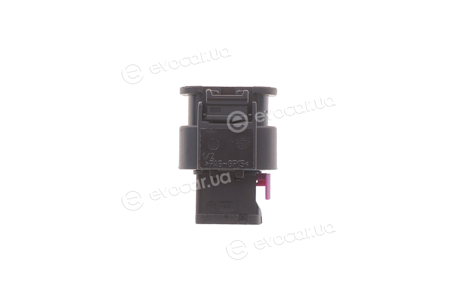 Solgy 412042
