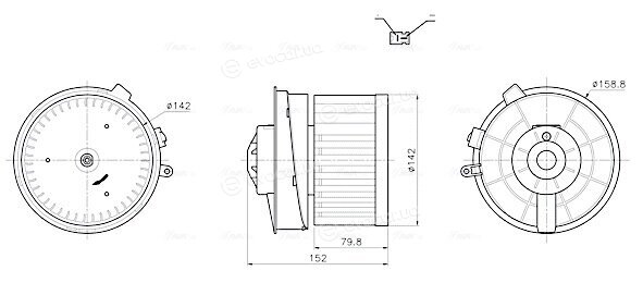 AVA DN8486