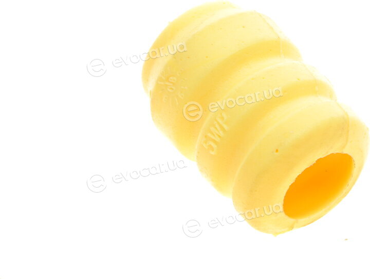Borsehung B10021
