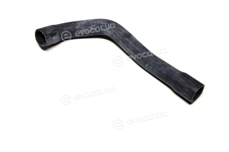 Sasic 3406084
