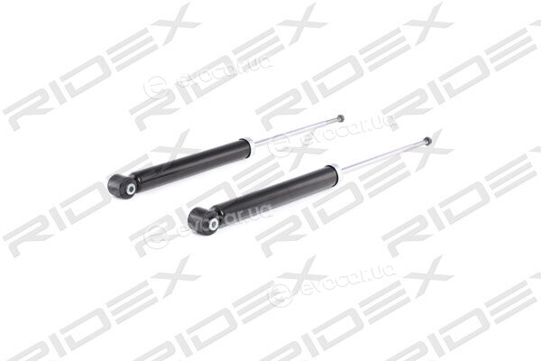 Ridex 854S0393