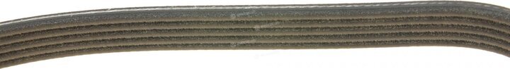 Dayco 5PK1065