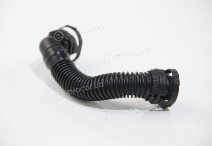 Rapro R25955