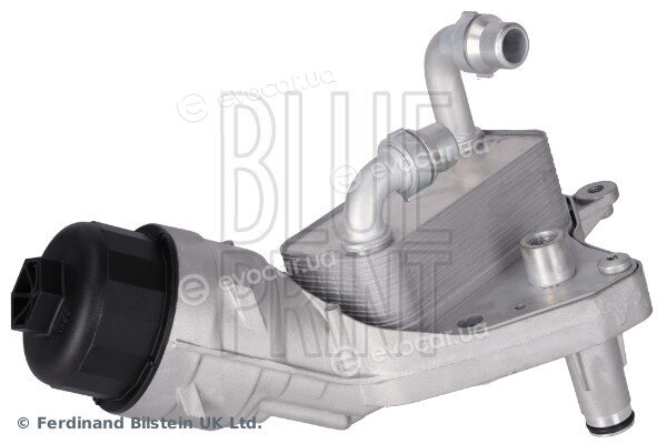 Blue Print ADBP210181