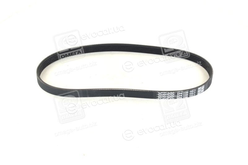 Dayco 5PK736