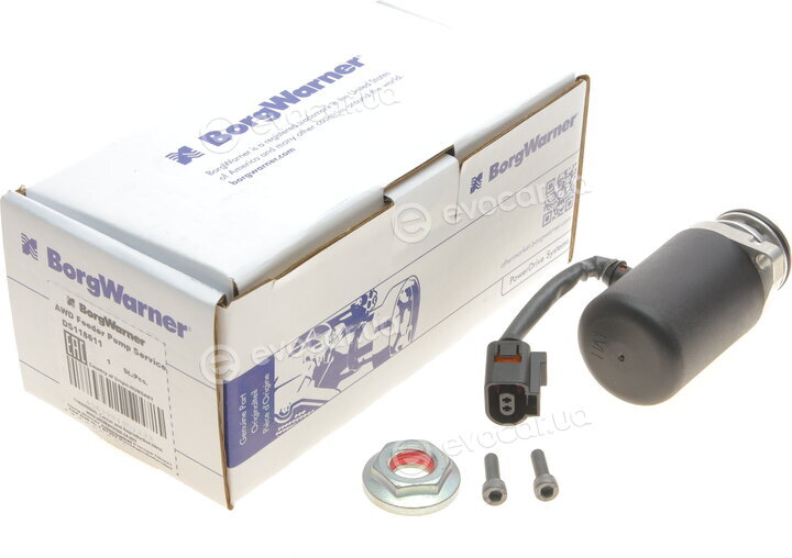 BorgWarner DS118611