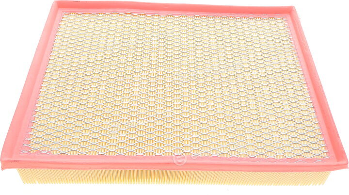 Mann C 33 017