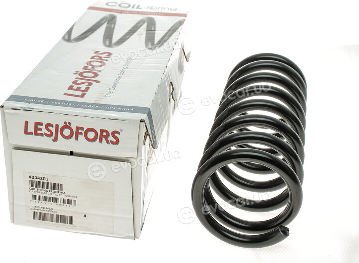 Lesjofors 4044201