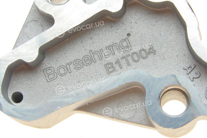 Borsehung B16300