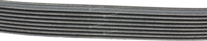 Continental 8PK1376