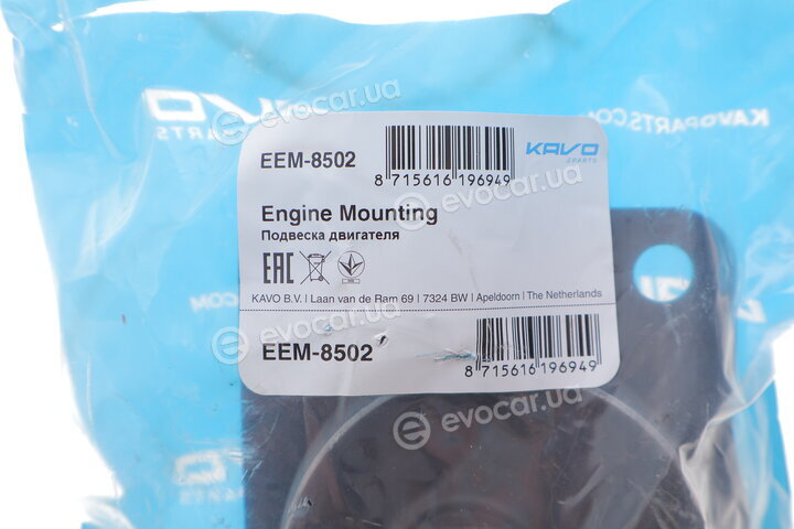 Kavo EEM-8502