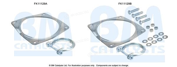 BM Catalysts FK11129