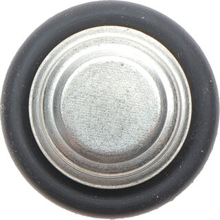 Delphi TS10275