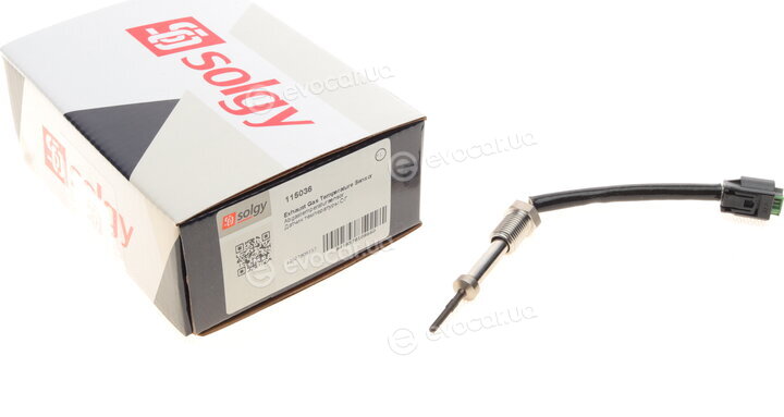 Solgy 115036