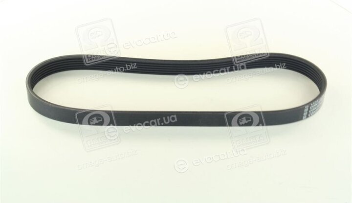 Continental 6PK831 ELAST