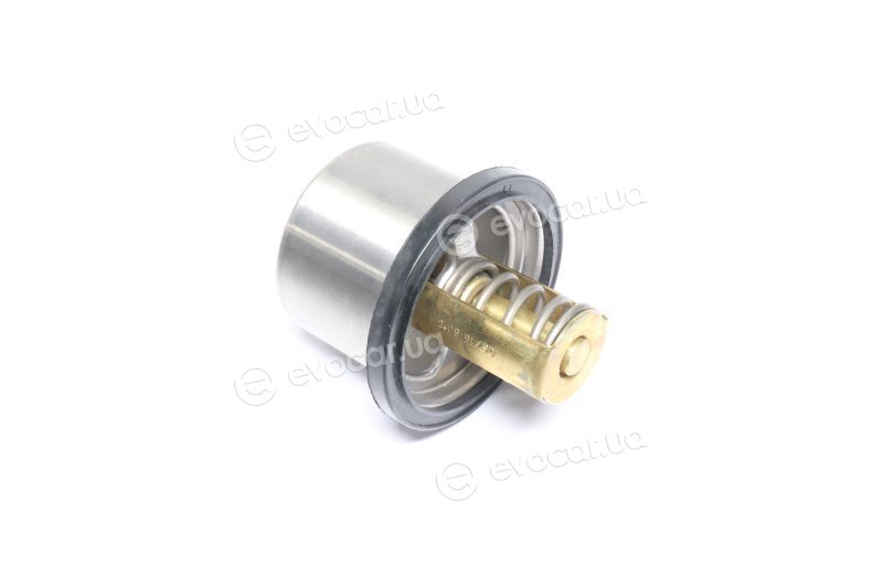 Wahler / BorgWarner 4619.80