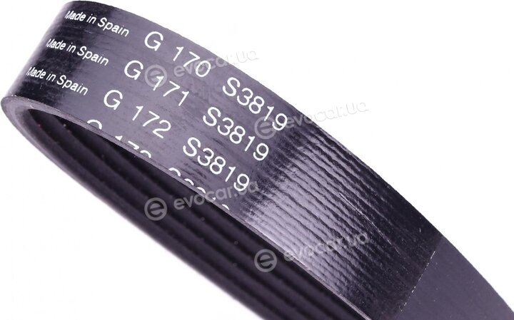 INA FB 6PK1503