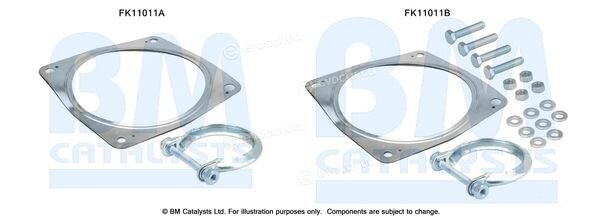 BM Catalysts FK11011