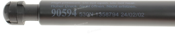 Lesjofors 8108418