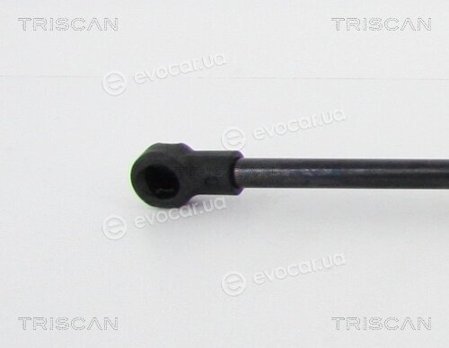 Triscan 8710 13286