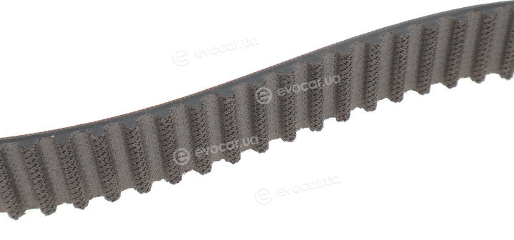 Gates K015569XS
