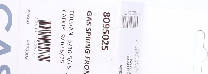 Lesjofors 8095025
