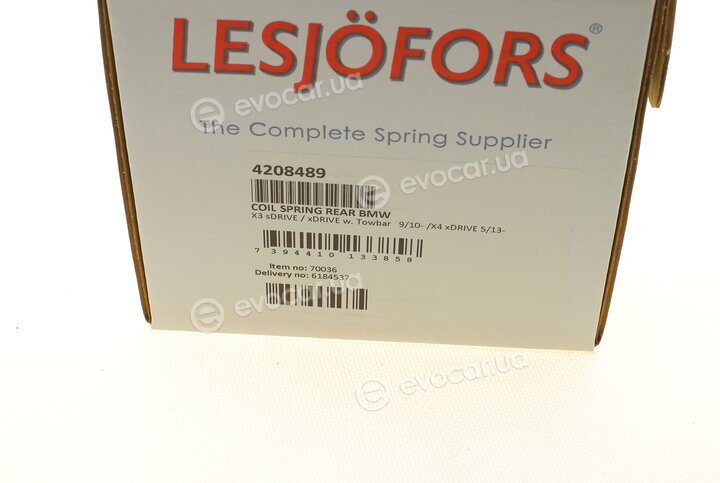 Lesjofors 4208489