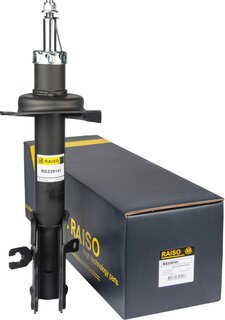 Raiso RS339141