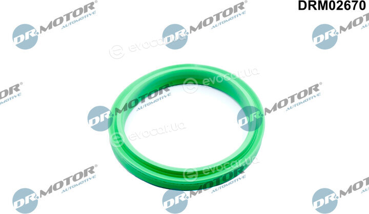 Dr. Motor DRM02670