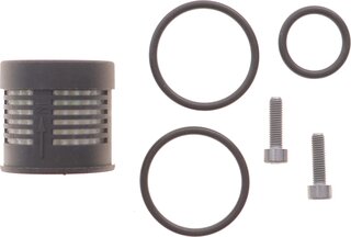 BorgWarner DS108190