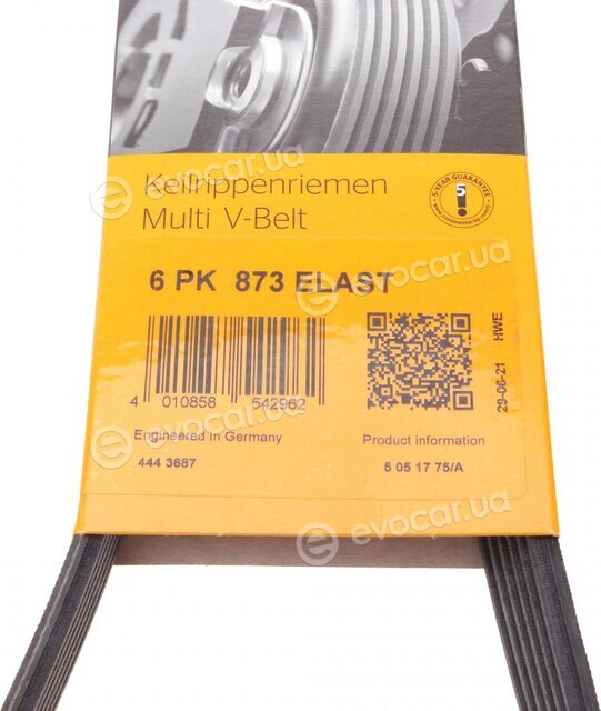 Continental 6PK873 ELAST