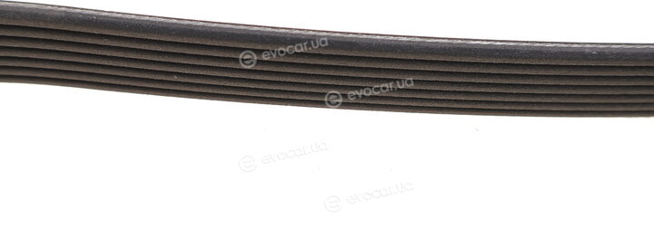 Dayco 7PK2050