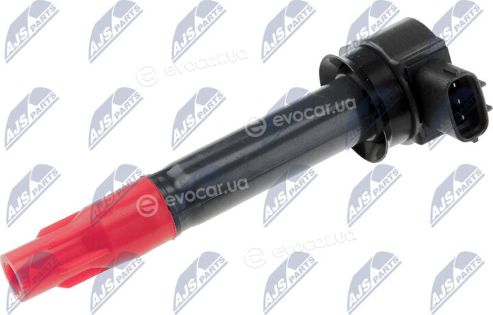 NTY ECZ-MS-020