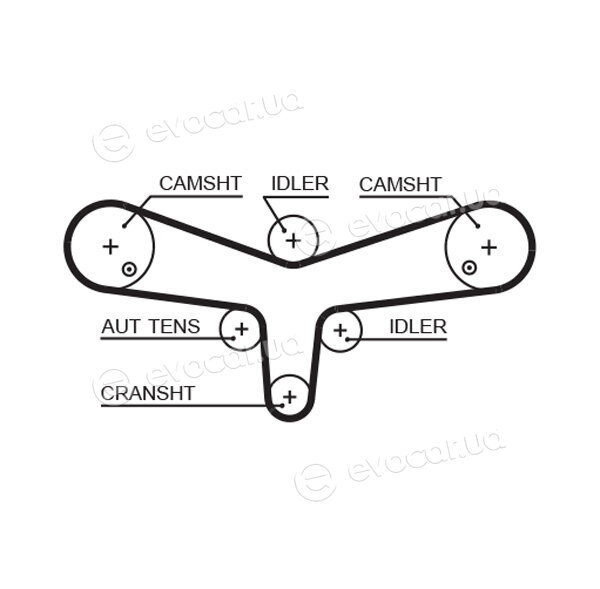 Gates K035624XS