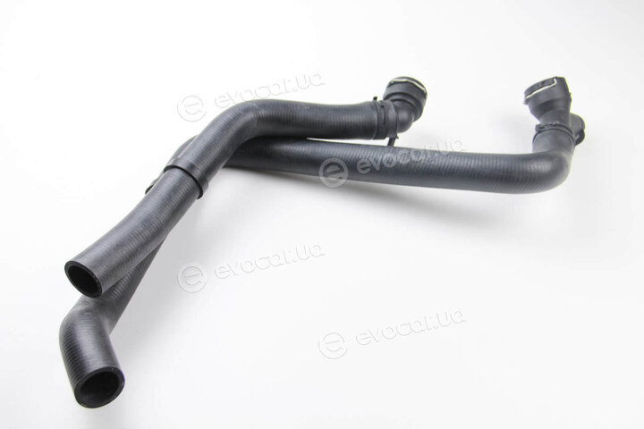 Metalcaucho / STC 09524