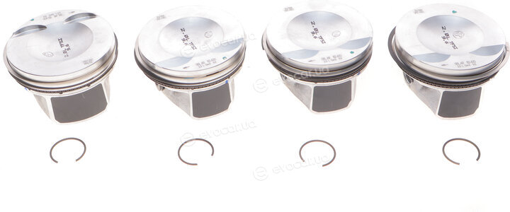 Borsehung B13574