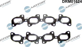 Dr. Motor DRM01624
