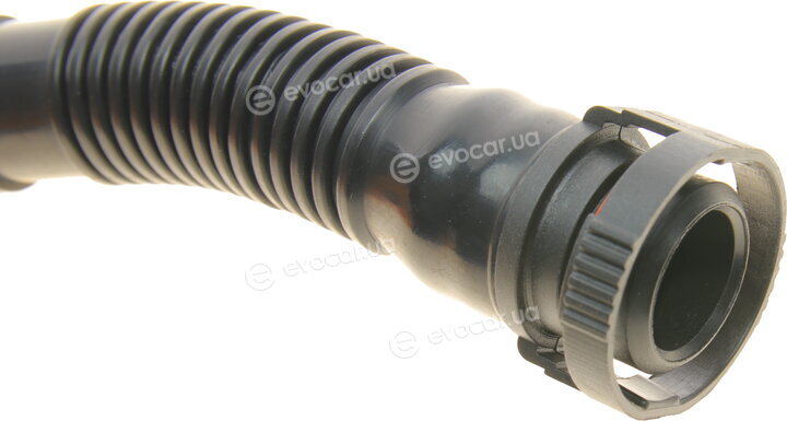 Bogap B1210167