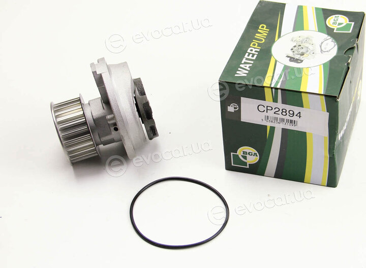 BGA CP2894