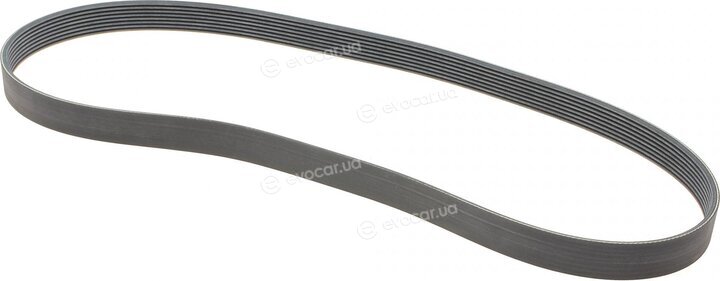 Continental 8PK1376