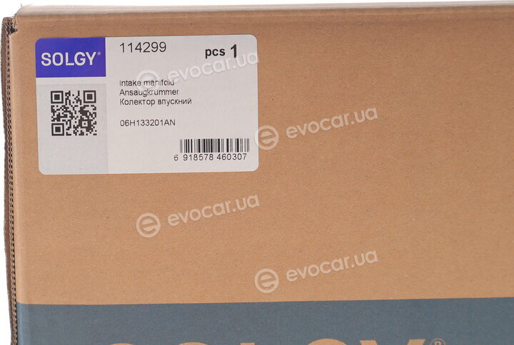 Solgy 114299