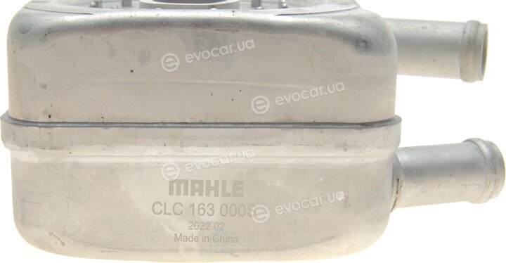 Mahle CLC 163 000S