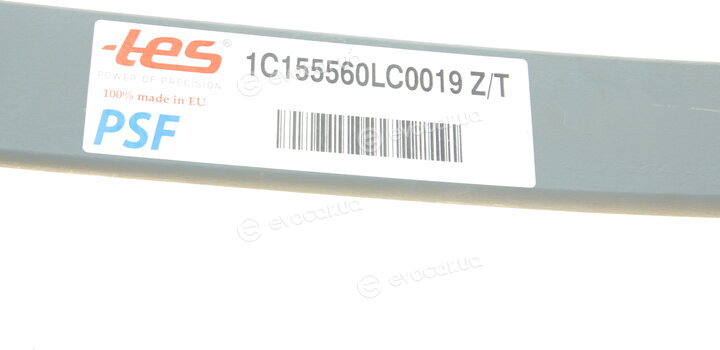 TES 1C155560LC0019