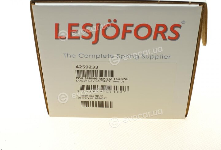 Lesjofors 4259233