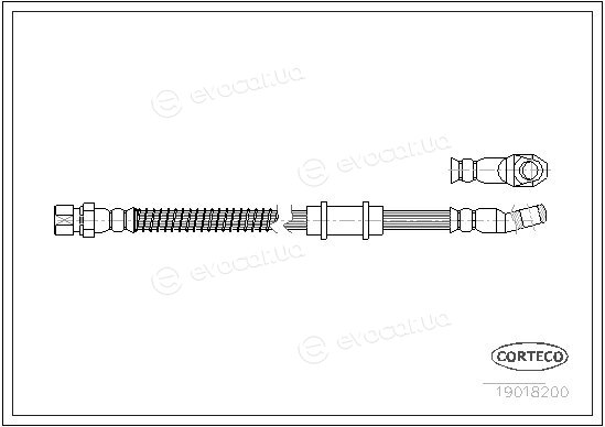 Corteco 19018200